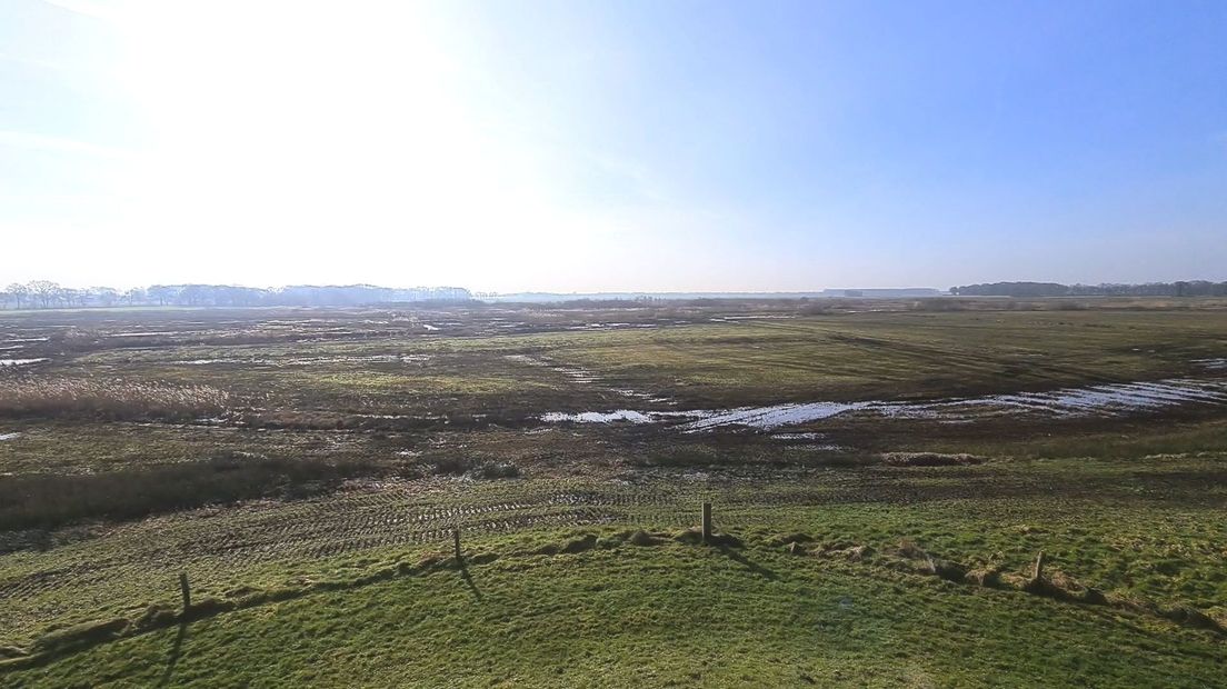 Natuurgebied De Mandelanden