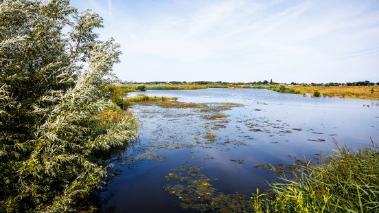 Waterpeil in Nieuwe Driemanspolder met meter gestegen Home