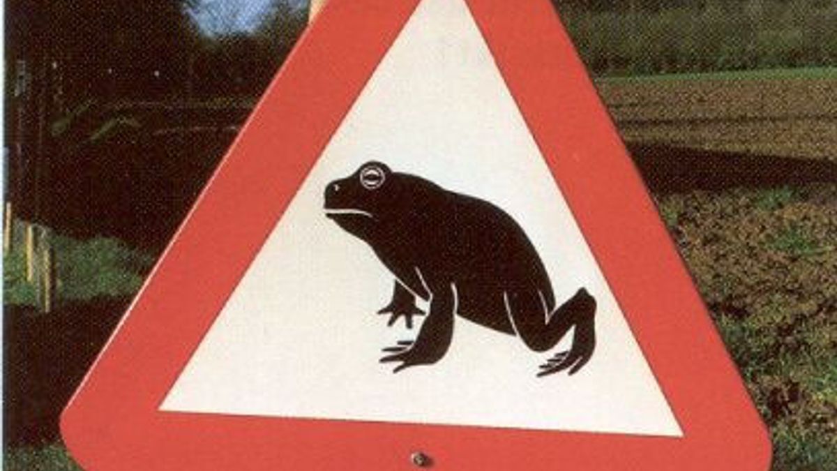 Paddentunnel onder Ruinerdijk in Ansen