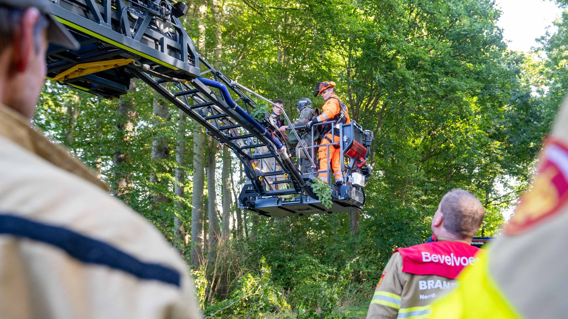 Parachutist zit vast in boom