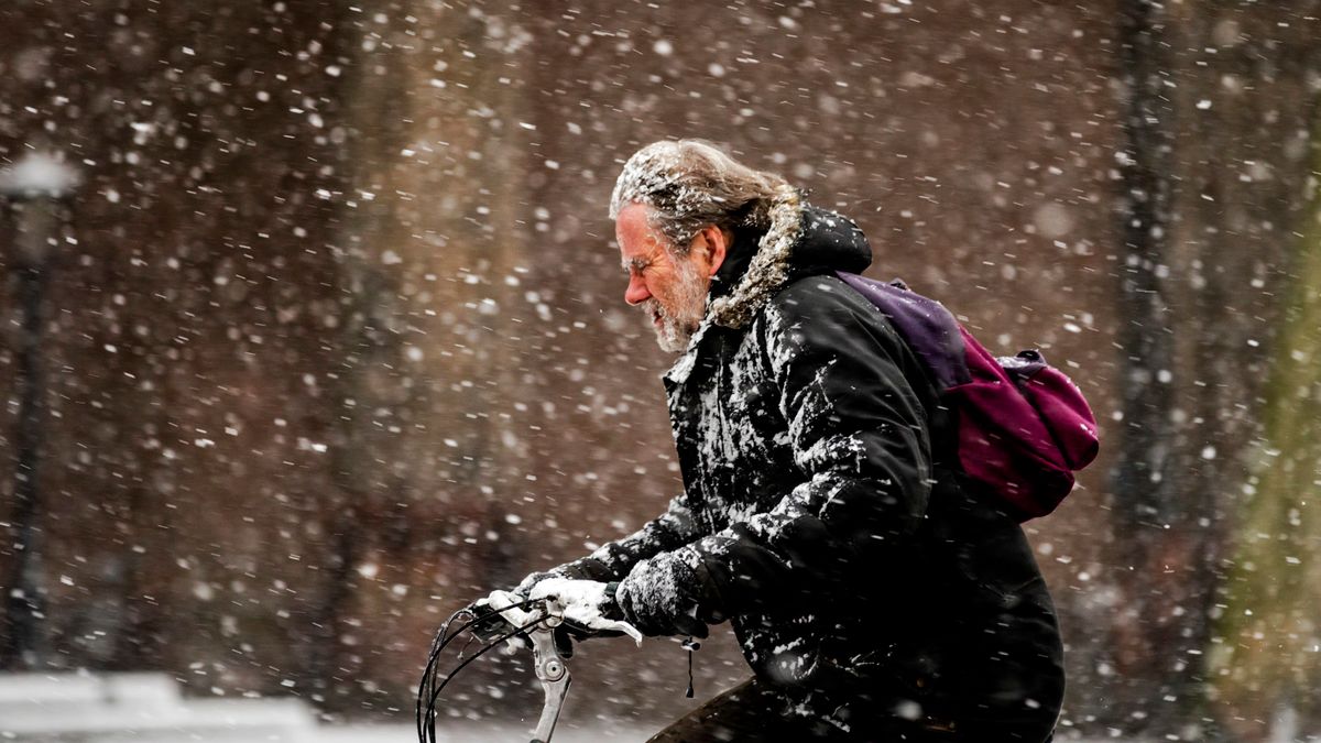 Waarschuwing voor sneeuw en gladheid, weerman verwacht laag tot 5 centimeter in deel provincie