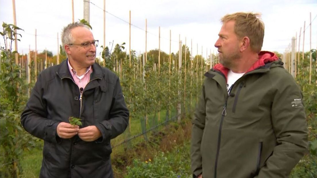 Henri en Harm tussen de appelbomen - foto Omroep Gelderland