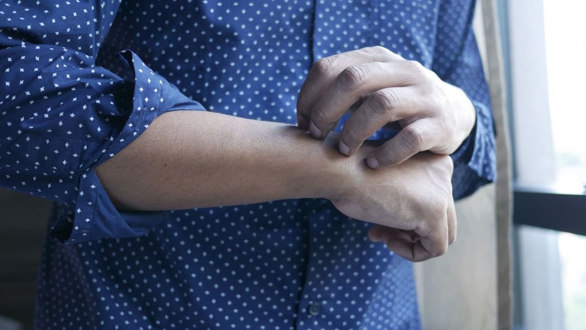 Schoolplein wemelt van vlooien, leerlingen en personeel moeten tijdelijk verhuizen