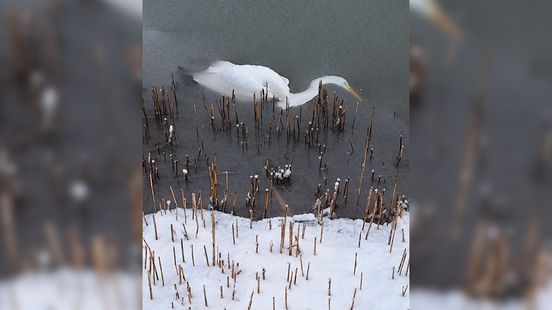 'Intens verdrietige foto' van slachtoffer winterkou roept veel emoties op