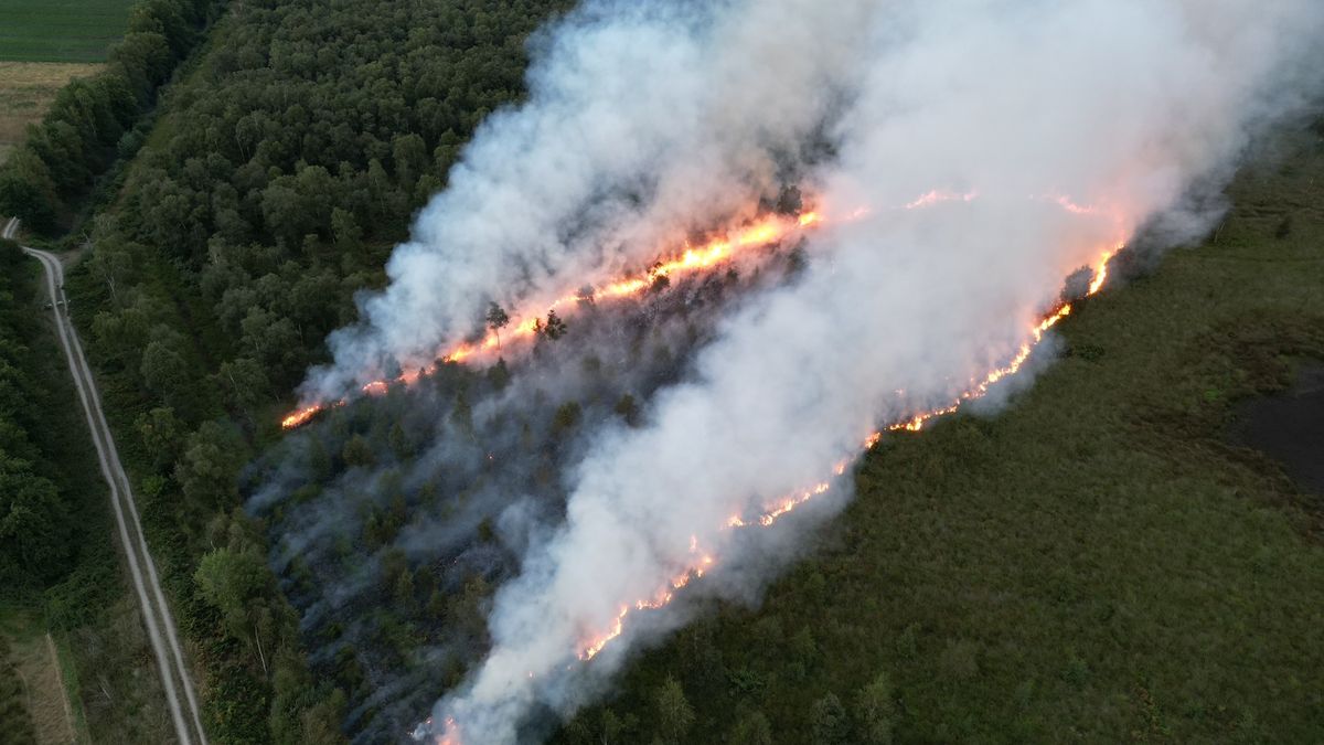 Forse natuurbrand met grote rookontwikkeling in Griendtsveen