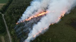 Forse natuurbrand met grote rookontwikkeling in Griendtsveen