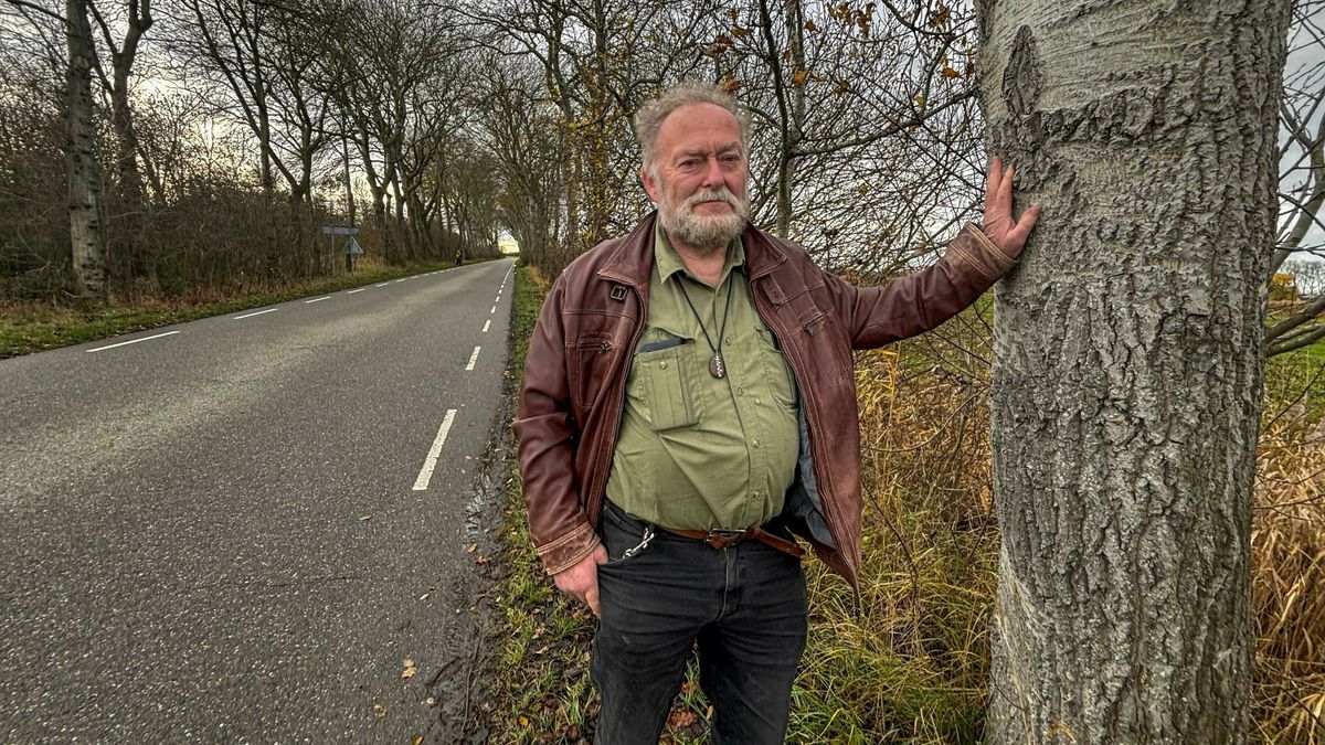 Buurt verzet zich tegen kap van 45 abelen bij Oranjezon: 'Sprookjeslaantje hoort bij Walcheren'