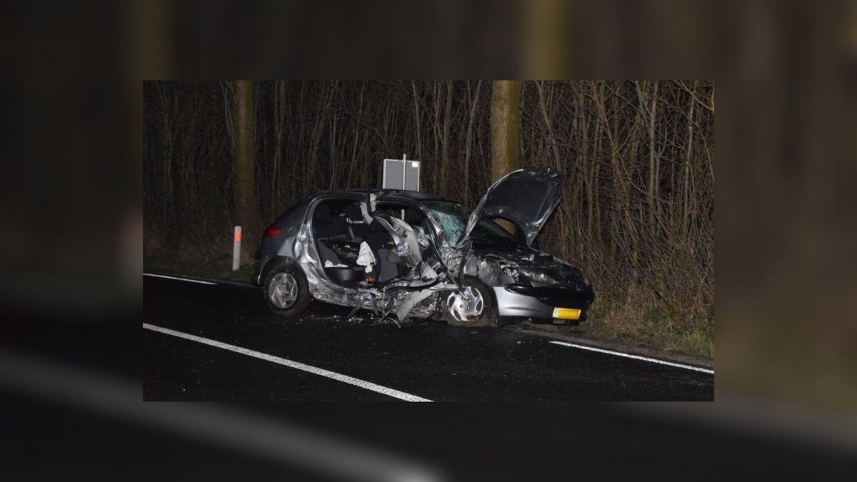 UPDATE: Auto klapt op boom in Munnekezijl; één persoon naar ziekenhuis
