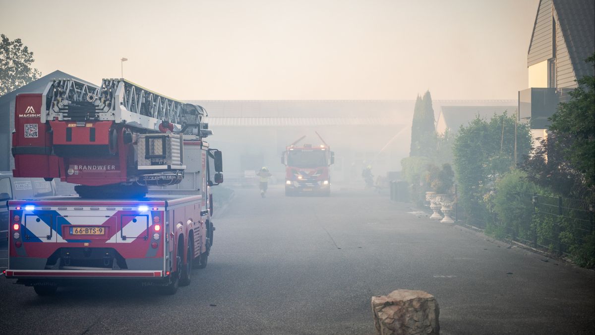 Veel rook bij grote brand op kwekerij