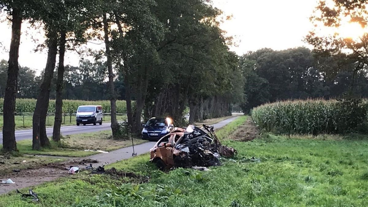 Nederlander (19) op slag dood door botsing tegen boom in het Duitse Wilsum (UPDATE)