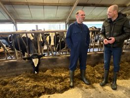 150 Drentse melkveehouders werken aan stikstofverlaging door ander voer te gebruiken
