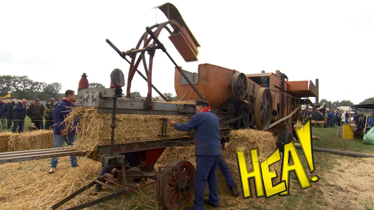HEA! Duizenden genieten van een vrolijk Flaeijelfeest
