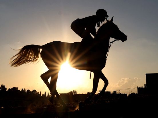 Aa en Hunze pakt sportpaardenbedrijf Gieten flink aan: tonnen aan dwangsommen