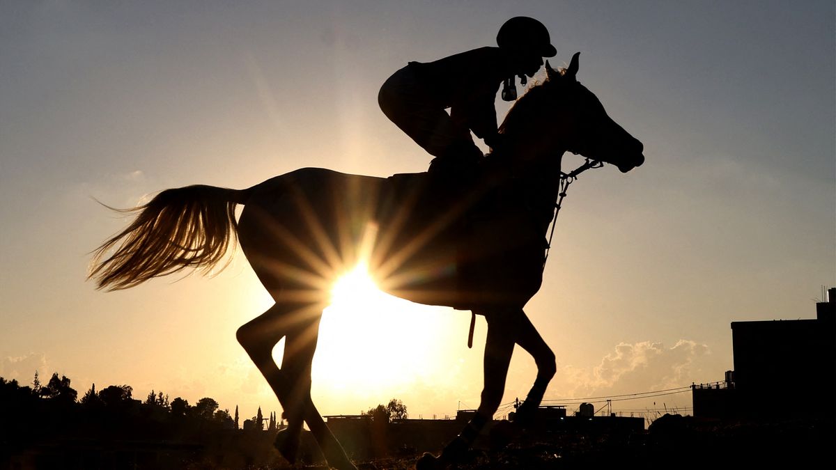 Aa en Hunze pakt sportpaardenbedrijf Gieten flink aan: tonnen aan dwangsommen