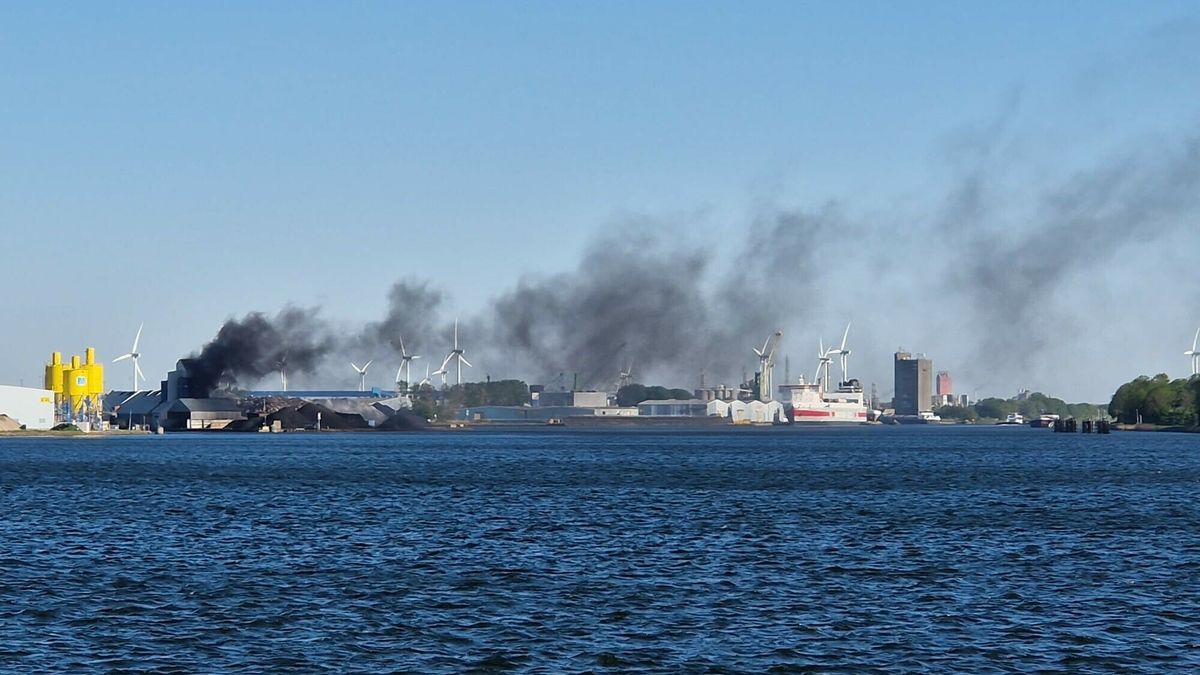 Brand in dak van loods bij Ovet in Terneuzen