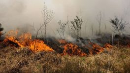 Bosbrandseizoen breekt aan: er valt nog veel te verbeteren