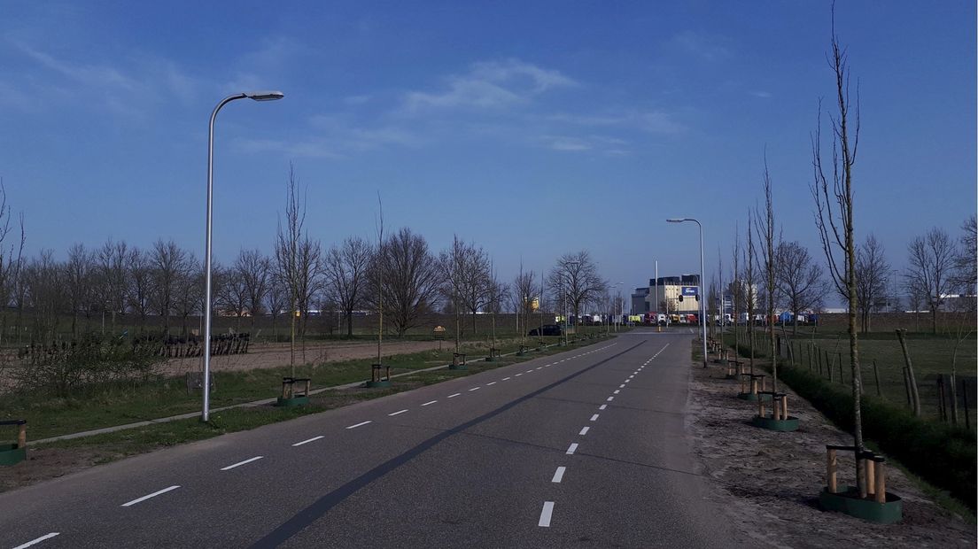 Herplant aan de Hertsenbergweg met 60 zomerlindes