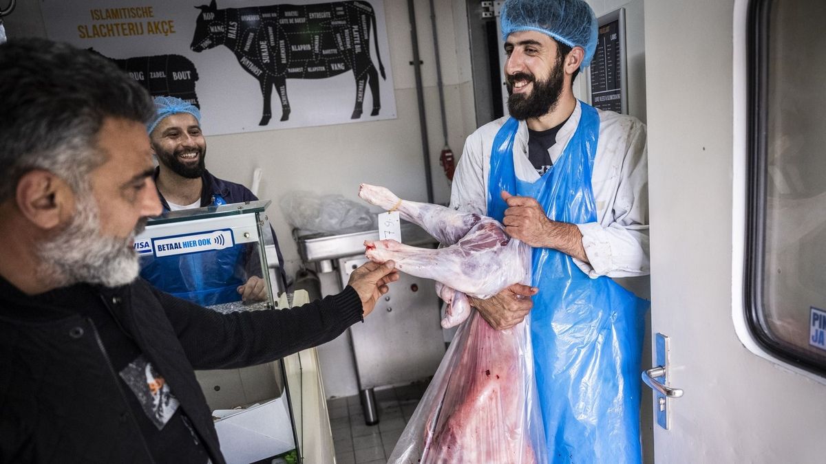 Offerfeest wordt gevierd met ritueel slachten: "Dat doen wij gelukkig