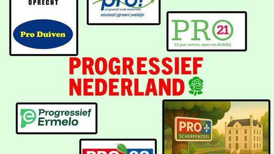 Lokale partijen willen naam Progressief Nederland tegenhouden