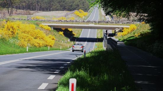 Herten, wolven en zwijnen kunnen weer makkelijker oversteken