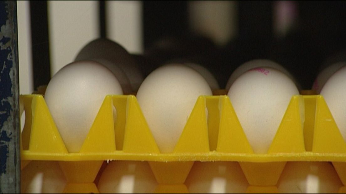 Eiverwerkers willen einde aan maatregelen vogelgriep