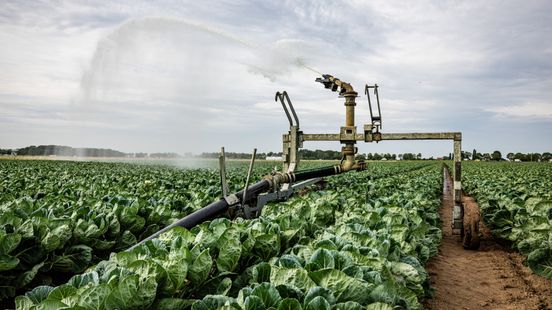 Mogelijk snel naar fase 'feitelijk watertekort', wat betekent dit voor onze regio? Home