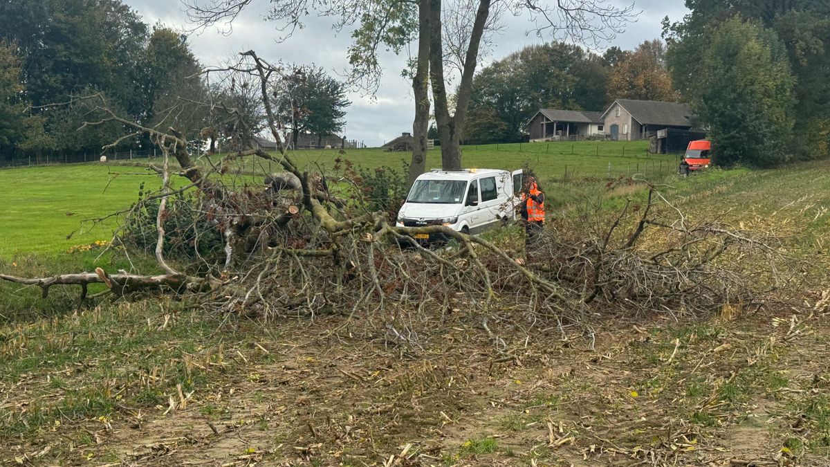 Depressie Benjamin trekt over Limburg: drukte bij brandweer