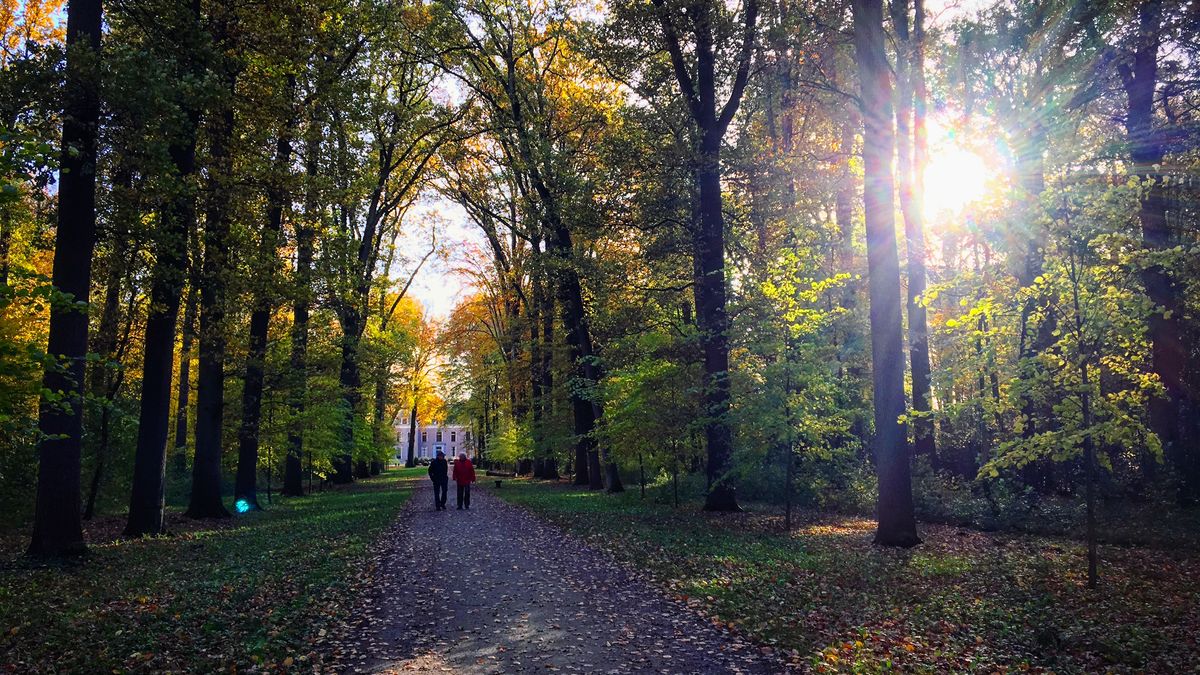 Nog nooit zijn er zoveel dagen van 15 graden of hoger gemeten