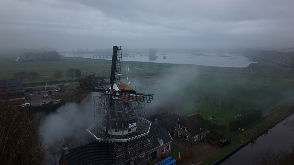 Molen De Wachter krijgt nieuw dak: 'Kosten voor de steiger zijn hoger dan het rietdekken'