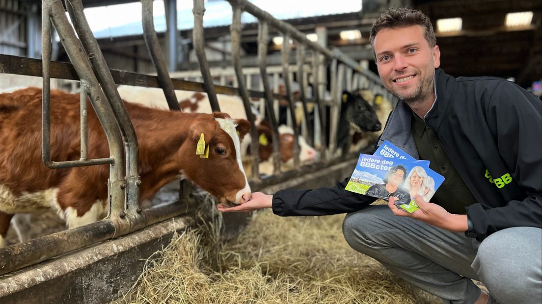 Martin Oostenbrink voert namens de BBB campagne tussen de koeien