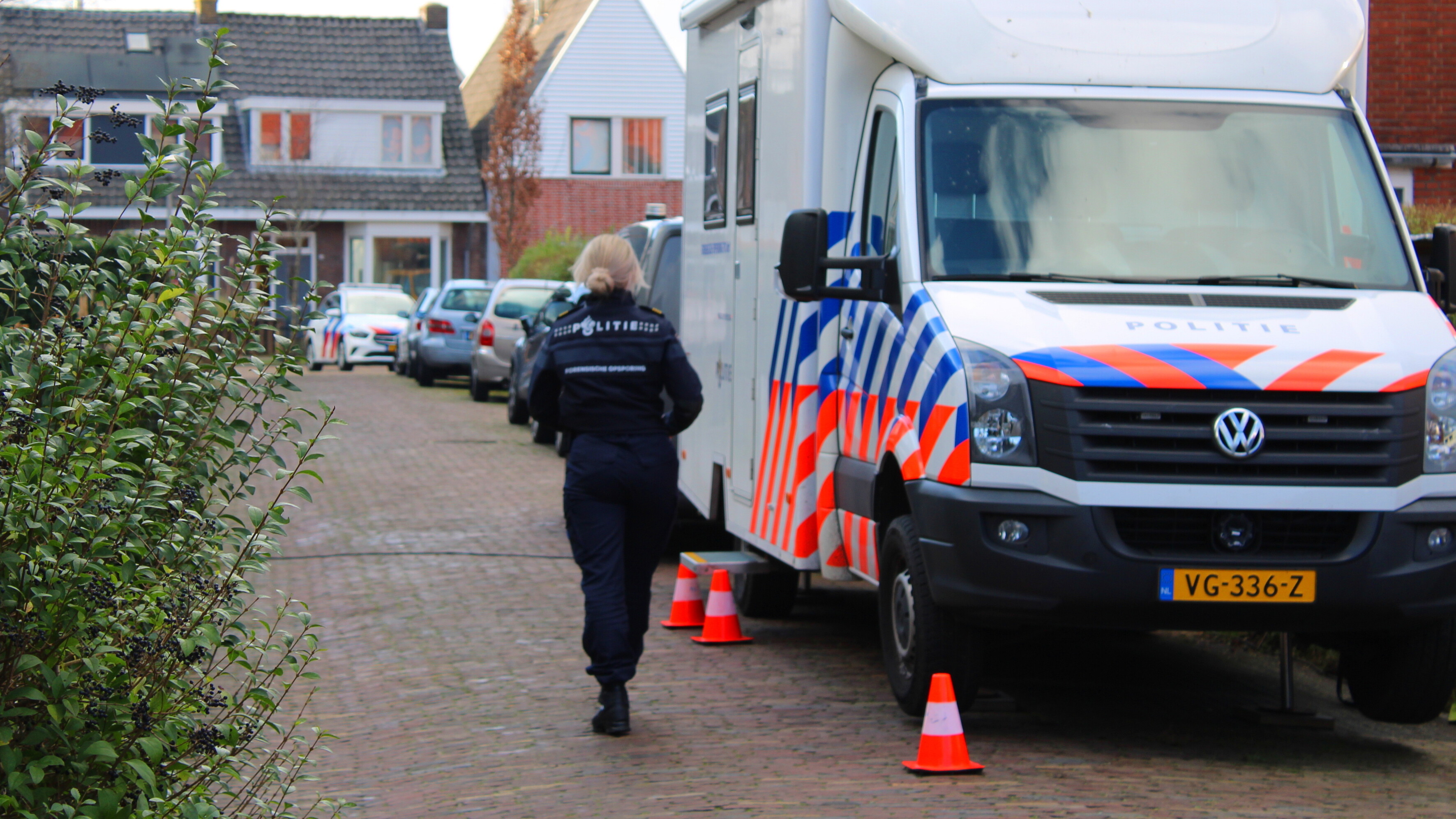 Plysjeminsken yn Ljouwert