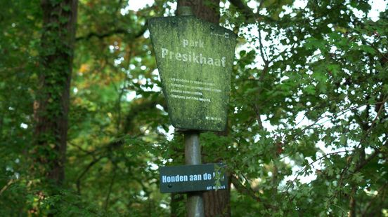 Vrouw neergestoken in park, politie zoekt specifieke getuigen