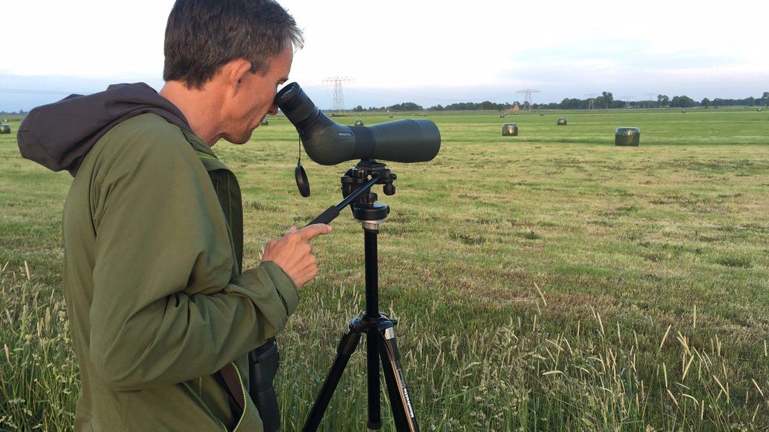 Vogelaars proberen de steppekievit te spotten (Rechten: Wolter Klok/RTV Drenthe)