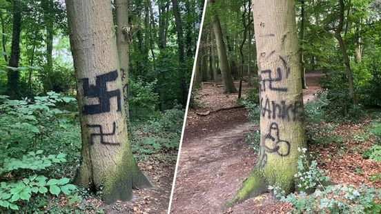 Bomen beklad • ravage na botsing. Bomen beklad • ravage na botsing.