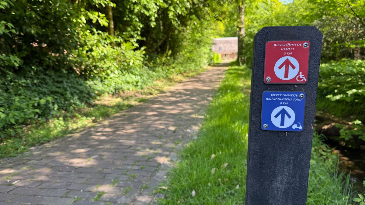 Nieuwe routes in Diever openen de natuur voor iedereen