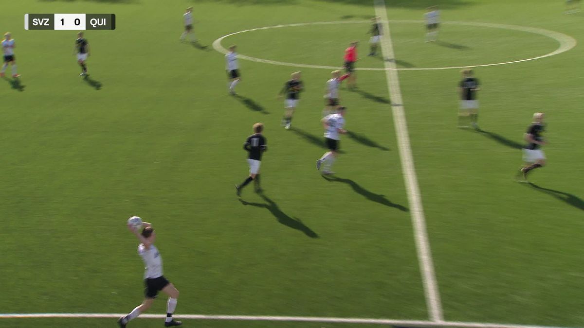 Samenvatting SVZW - Quick'20