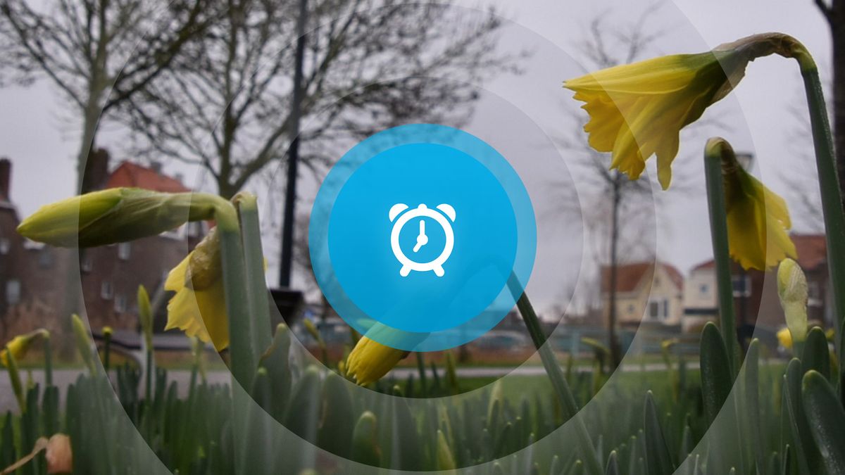 Goedemorgen! Explosie Vlissingen, kerstboomverbranding en opening groen schoolplein