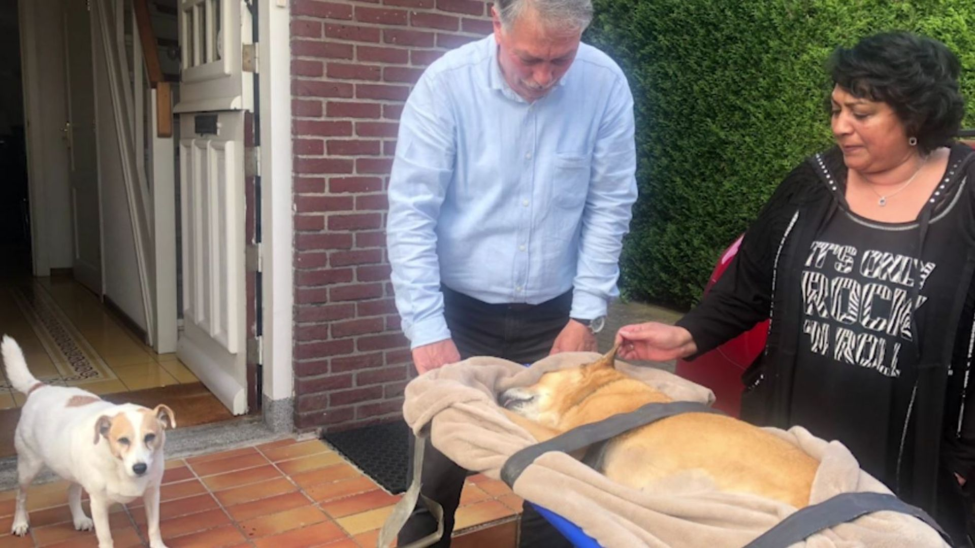 Hond Sem krijgt een volwaardige uitvaart: 'Het is toch je kindje'