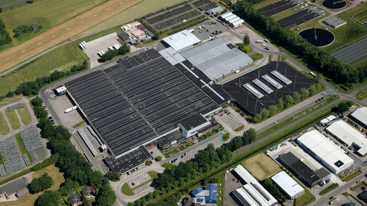 Gemeente Tynaarlo bezorgd over verkoop FloraHolland-pand Eelde: lokale ondernemers niet hoogste bied