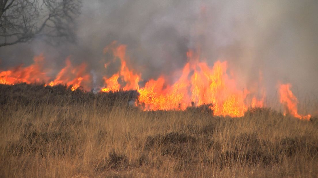 De kans op natuurbranden blijft groot (Rechten: archief RTV Drenthe)