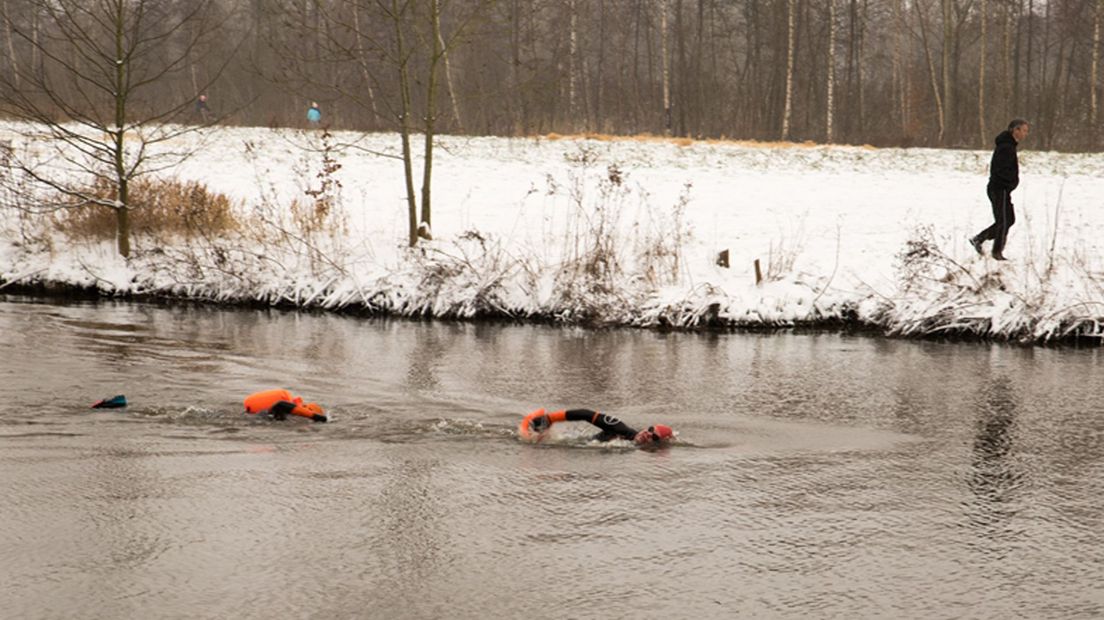 Wauw, een zwemmer in Oud-Zuilen.