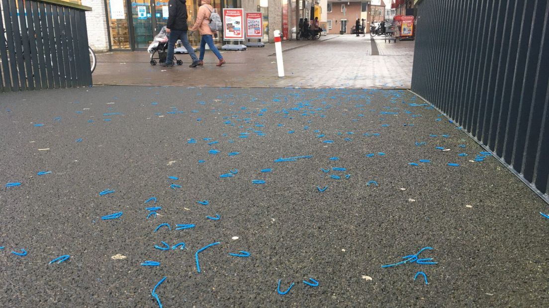 De blauwe plastic borstelharen in Leiden