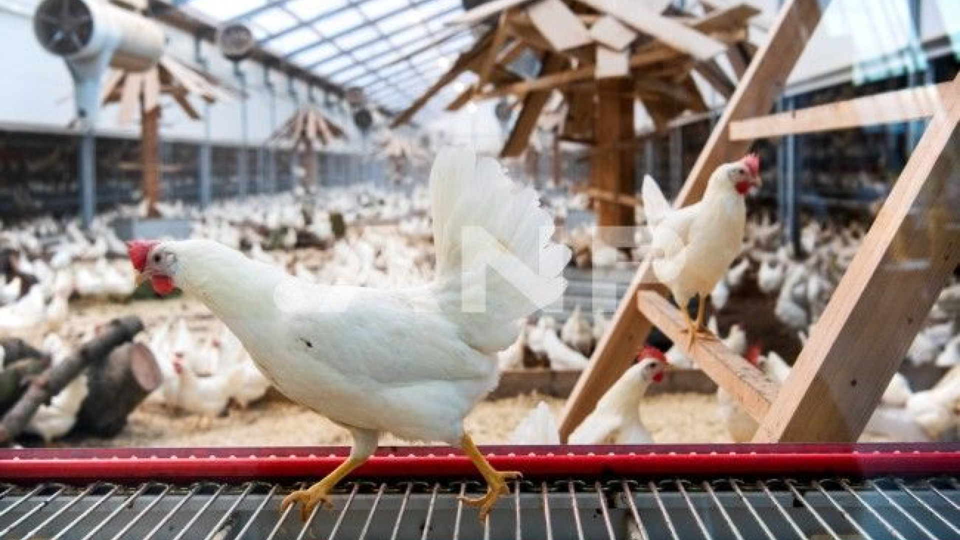 'Ophokplicht moet eerder ingaan'