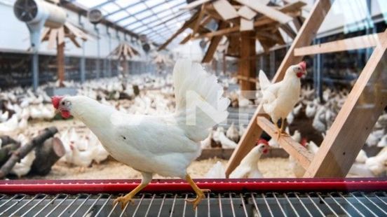 'Ophokplicht moet eerder ingaan'