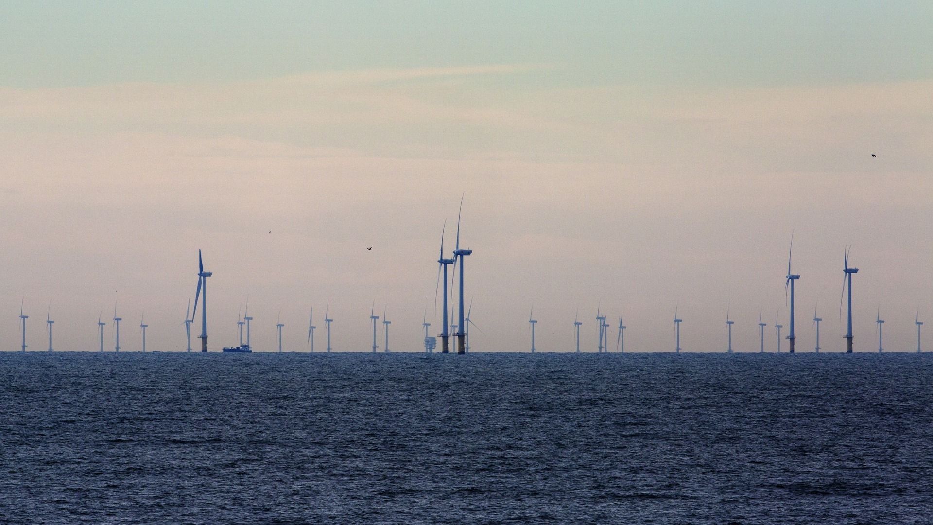 Een al bestaand windpark op de Noordzee
