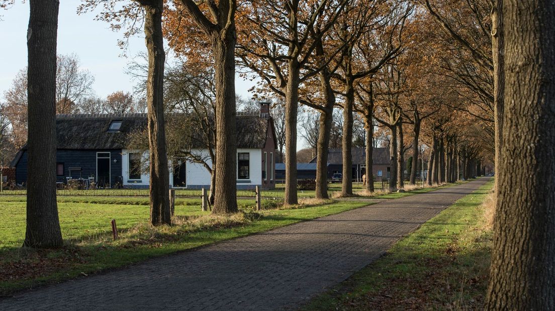 Koloniewoningen M.A. van Naamen van Eemneslaan / Frederiksoord