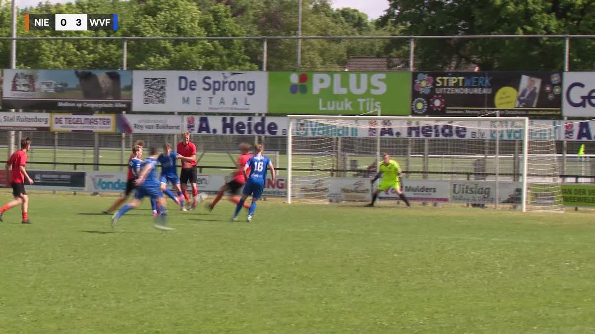 Samenvatting Nieuwleusen - WVF