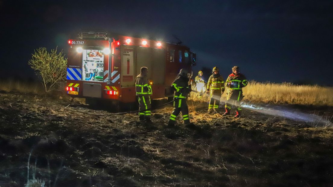 De brandweer heeft in de nacht van donderdag op vrijdag vier keer moeten uitrukken vanwege branden in natuurgebied de Veluwe. De oorzaak is onbekend, maar een woordvoerder van de Veiligheidsregio sluit niet uit dat ze zijn veroorzaakt door aanhoudende droogte.