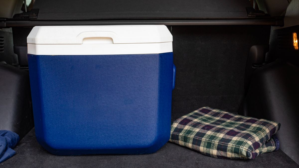 Busje verliest koelbox met xtc-pillen op snelweg: man uit Swalmen (54) aangehouden