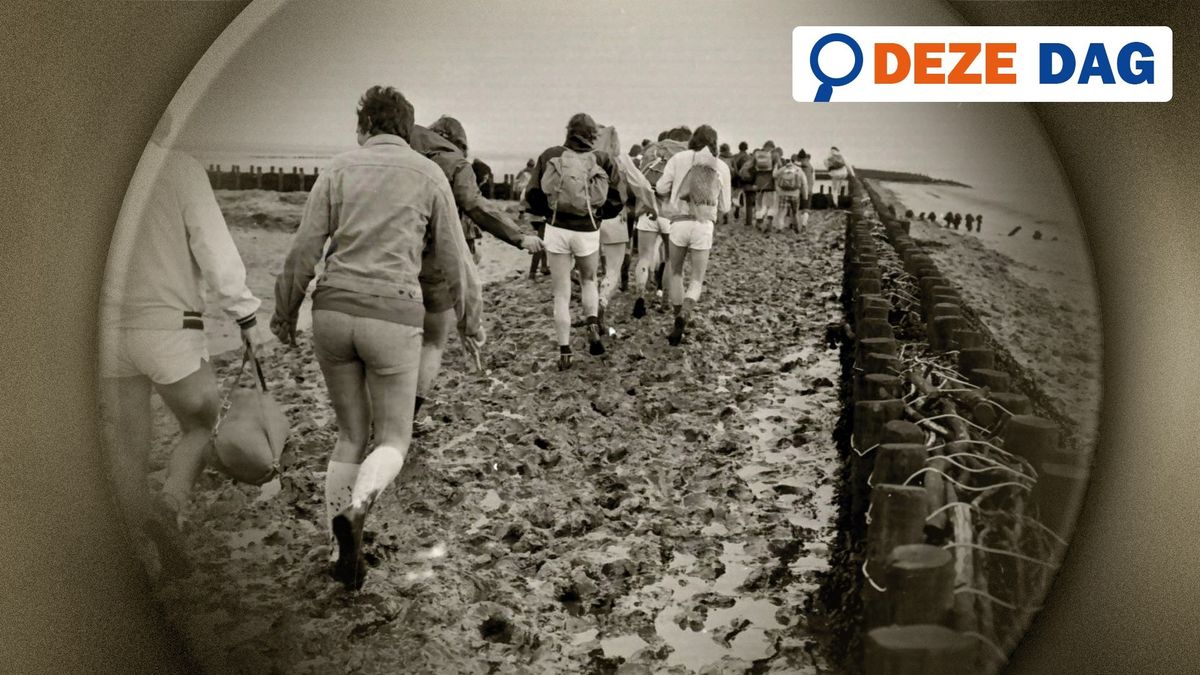 Deze dag in 1980: ‘Wadlopen moet verboden worden’